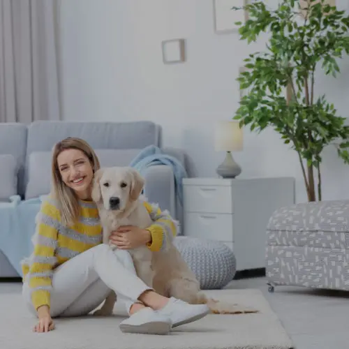 A woman sitting with a golden retriever on a clean carpet
