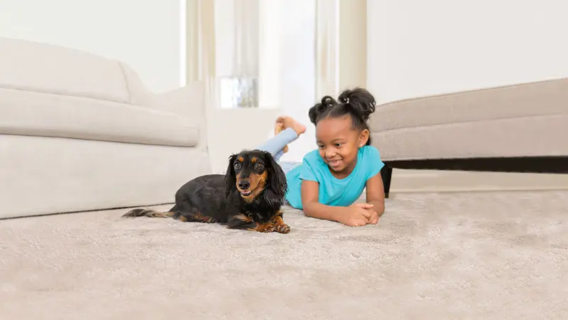 A young girl and a dachshund lying on a clean carpet